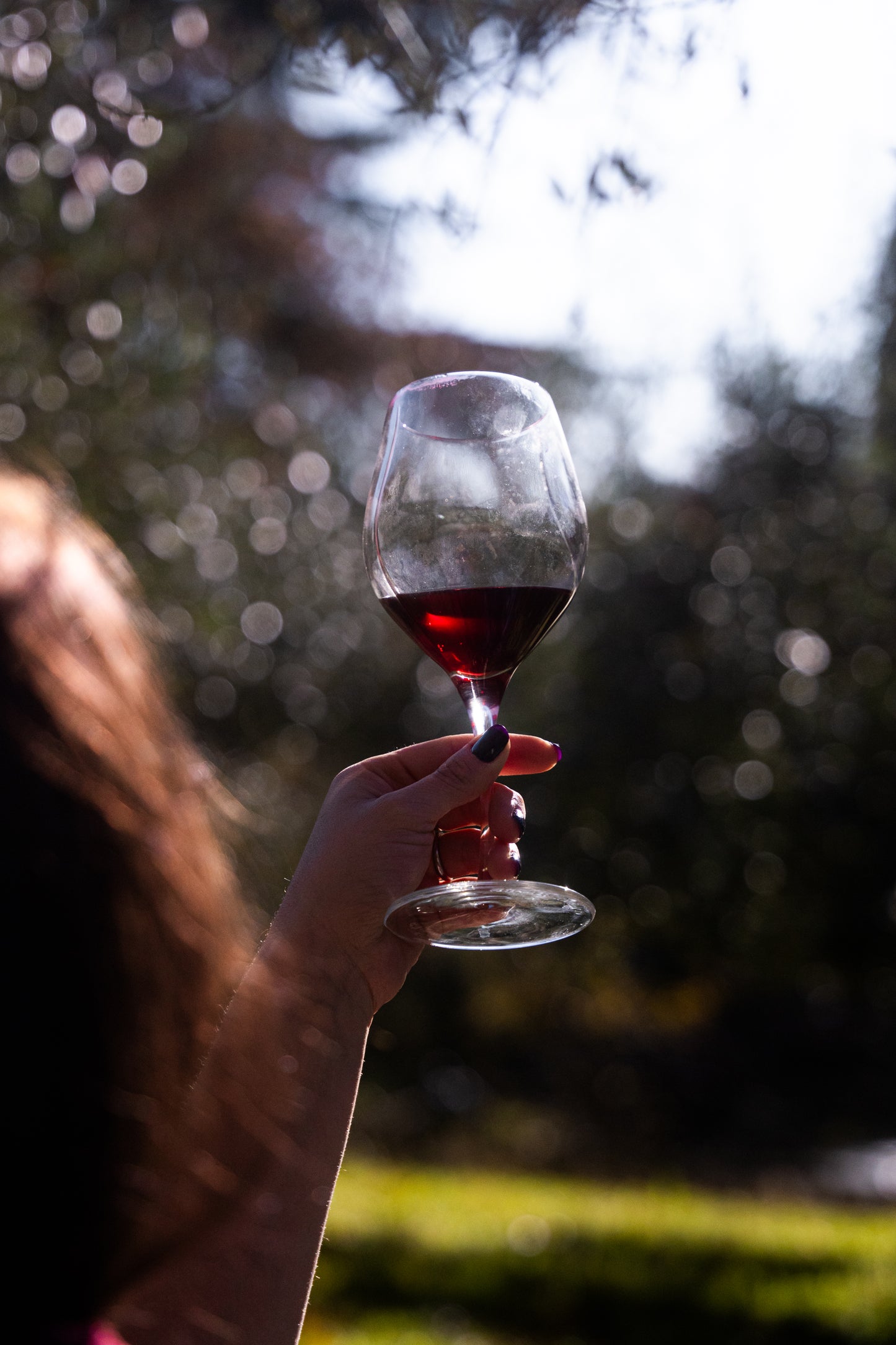 Piccolo assaggio Di Vino